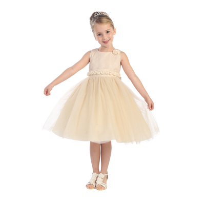 Lace Embroidered Girls Party Dress